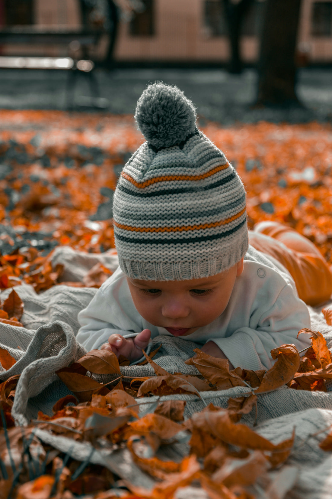 Toddler Fall Clothing Essentials for Everyday Wear