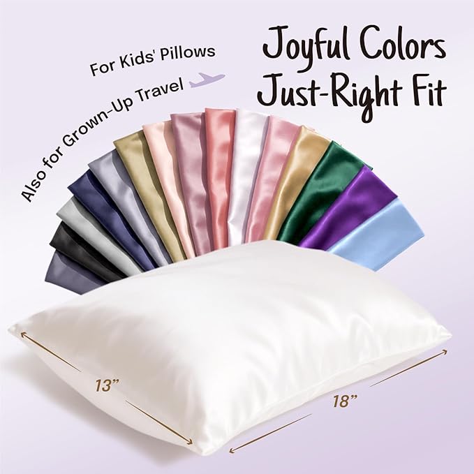 OLESILK 100% Mulberry Silk Toddler Pillowcase for Hair and Skin, Both Sides 19 Momme Pure Natural Silk Travel Pillow Cases with Hidden Zipper, 13"x 18", Black