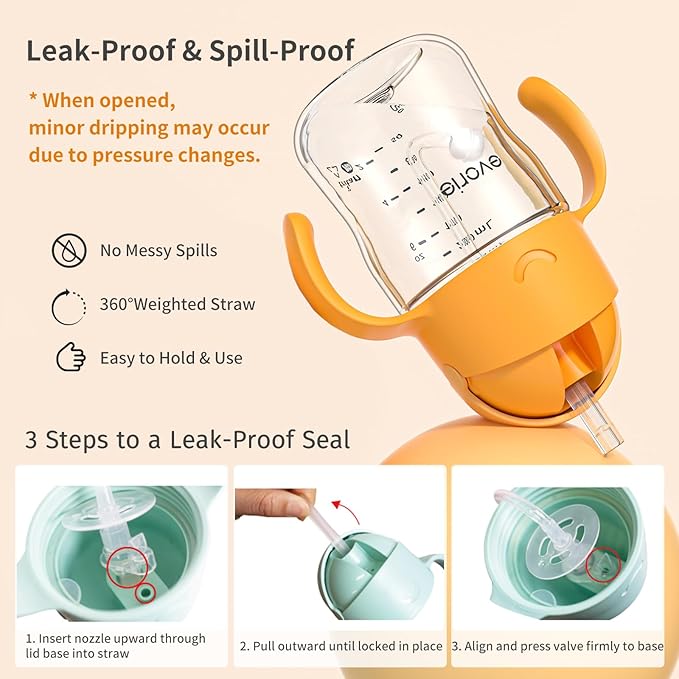 Evorie Tritan Weighted Straw Sippy Cup with Handles for Baby and Toddlers, Spill Proof Baby Water Bottle with Straw for 6 months and up, 7 Oz, Infant Training Water Bottle (Mint)