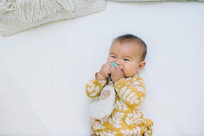 Itzy Ritzy Pacifier & Lovey Set - Includes Silicone Pacifier with Stuffed Animal Lovey - Detachable Plush Llama Binky Holder & Coordinating Mint Silicone Binky, Ideal for Ages 0 Months & Up