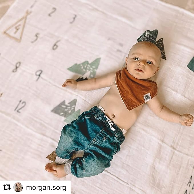 100% Organic Cotton Muslin Monthly Baby Milestone Blanket with Wooden Hello World Newborn Sign, Newborn Photography Props, Birth Announcement Sign, Eucalyptus