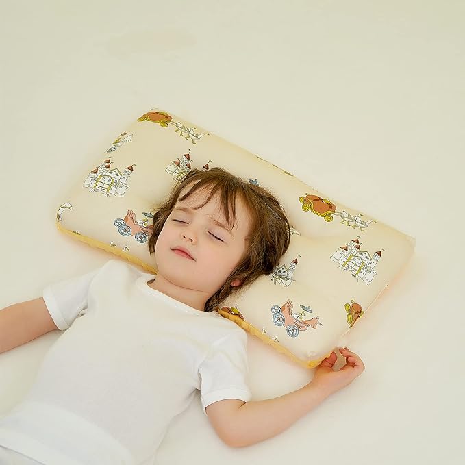Reidio 1Pcs Toddler Pillow Double Sided Breathable Soft Cotton & Minky Dot Fabric Kids Pillow Cute Small Pillow Machine Washable (Blue)