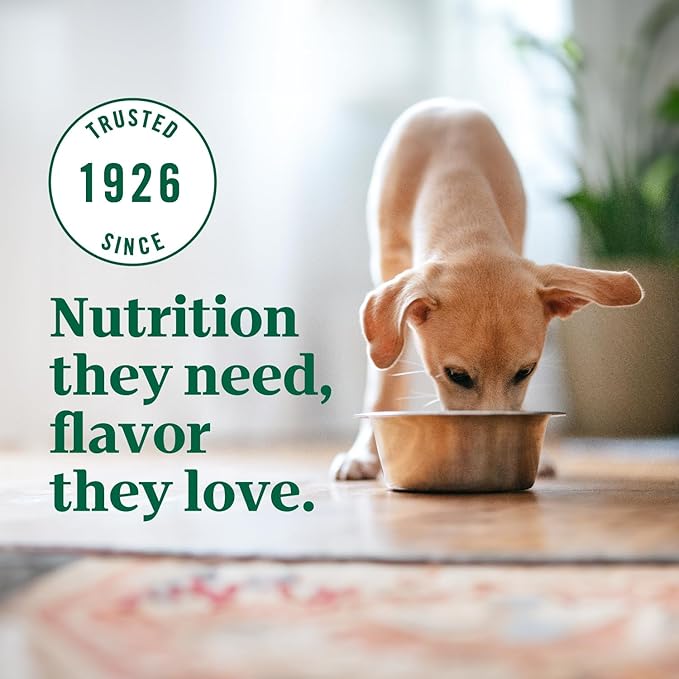 Nutro Ultra High Protein Dry Puppy Food, Trio of Proteins from Chicken, Lamb and Salmon, 12 lb Bag