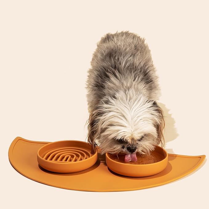 Should We Go? Slow Feeder for Dogs & Cats, The Slowdown Bowl Silicone Slow Eating Mealtime Solution with Modern Lick Mat Design, Reduces Gulping, Fits 1 Cup, 6” Across x 1.25” Tall, Small-Tan