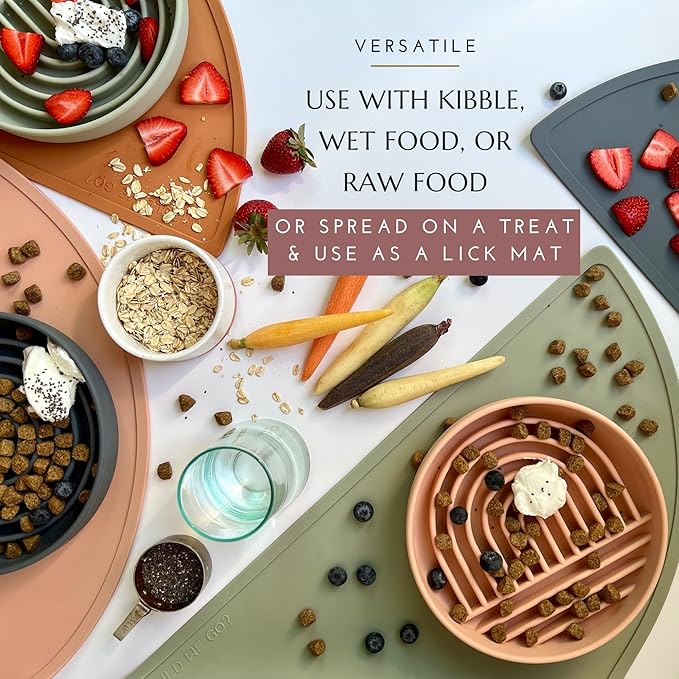 Should We Go? Slow Feeder for Dogs & Cats, The Slowdown Bowl Silicone Slow Eating Mealtime Solution with Modern Lick Mat Design, Reduces Gulping, Fits 1 Cup, 6” Across x 1.25” Tall, Small-Terracotta