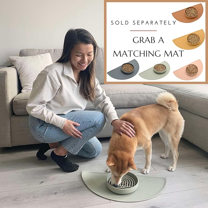 Should We Go? Slow Feeder for Dogs & Puppies, The Slowdown Bowl Silicone Slow Eating, Modern Lick Mat Design, Reduces Gulping, Fits 2.5 Cups, 9.5” Across x 1.5” Tall, Mealtime Challenge, Large-Sage