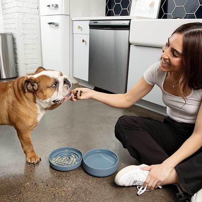 Should We Go? Slow Feeder for Dogs & Puppies, The Slowdown Bowl Silicone Slow Eating, Modern Lick Mat Design, Reduces Gulping, Fits 2 Cups, 7.5” Across x 1.5” Tall, Mealtime Challenge, Medium-Ocean