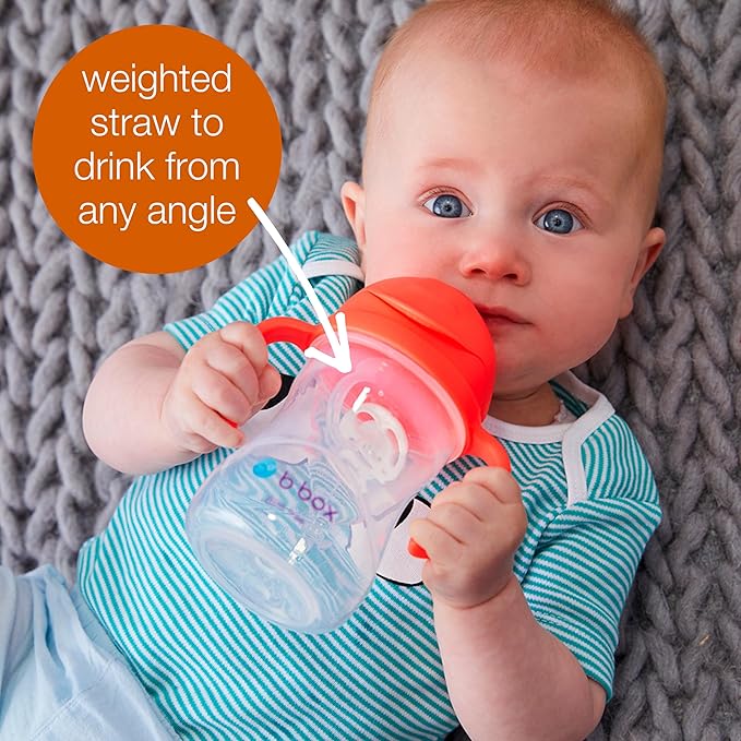 b.box Sippy Cup with Weighted Straw. Drink from any Angle, Leak Proof, Spill Proof, Easy Grip. BPA Free, Dishwasher Safe. For Babies 6m+ to Toddlers (Boysenberry, 8oz)